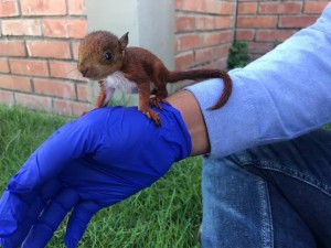 45384725_594475130969041_7751148502956113920_n - Fundación Hidrobiológica George Dahl