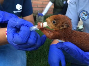 45494566_594475034302384_1041007825242816512_n - Fundación Hidrobiológica George Dahl