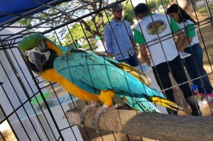 1 - Fundación Hidrobiológica George Dahl