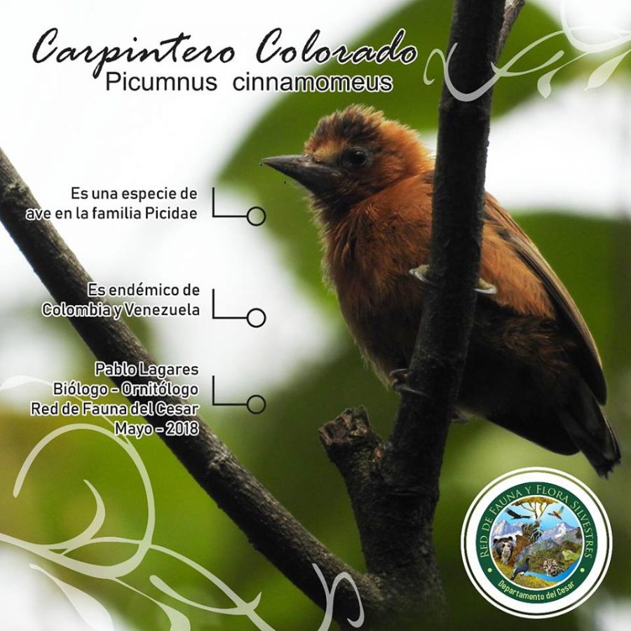 32087195_474783839604838_5584695461878431744_n (1) - Fundación Hidrobiológica George Dahl