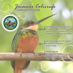 32253335_474784202938135_4948491478264446976_n - Fundación Hidrobiológica George Dahl