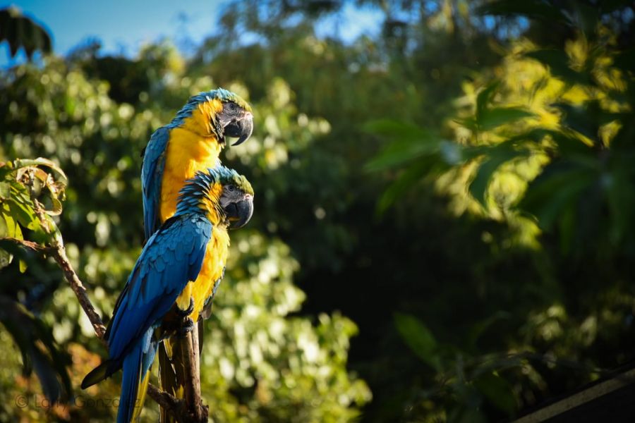 WhatsApp Image 2019-12-13 at 2.28.00 PM - Fundación Hidrobiológica George Dahl