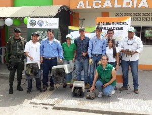 EXITOSA ENTREGATON DE ANIMALES SILVESTRES SE REALIZÓ EN PELAYA, CESAR - Fundación Hidrobiológica George Dahl