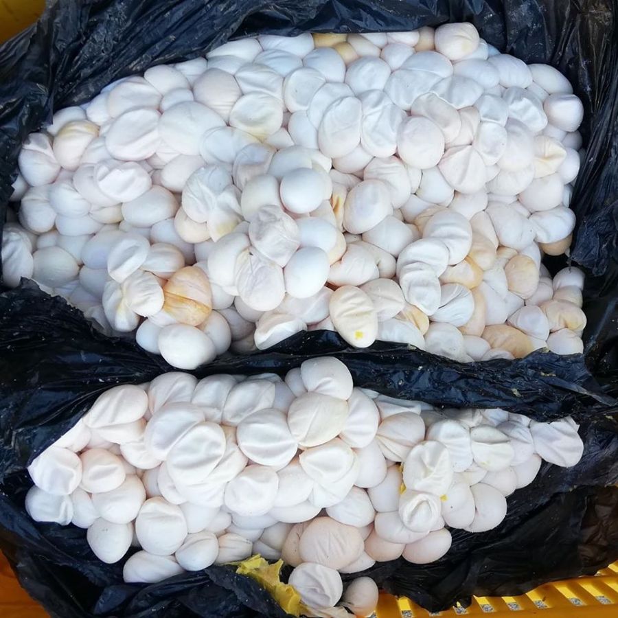 83225095_889183574831527_2166483526755549184_o (1) - Fundación Hidrobiológica George Dahl