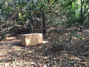 LIBERACIÓN PUMA - Fundación Hidrobiológica George Dahl