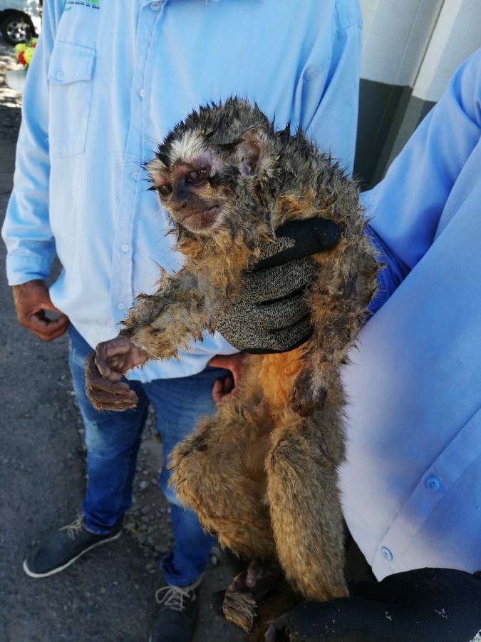 WhatsApp Image 2020-01-09 at 6.04.52 PM (2) - Fundación Hidrobiológica George Dahl