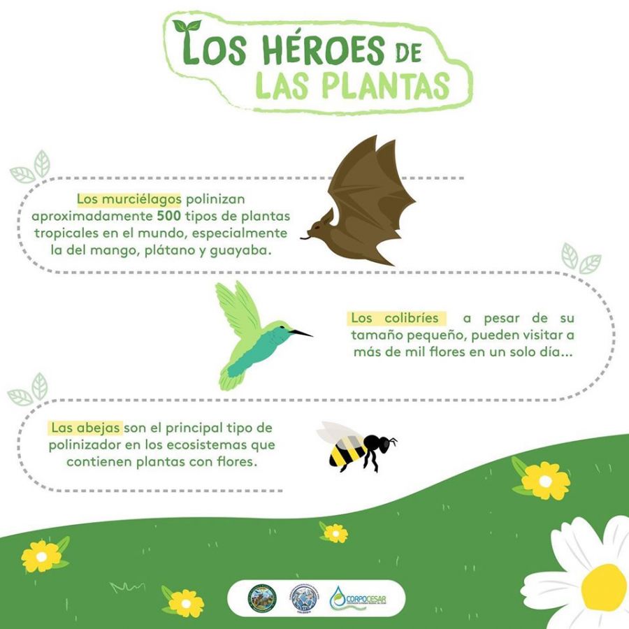 91358046_929670847449466_5977380061144154112_o - Fundación Hidrobiológica George Dahl