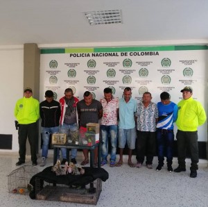 NUEVE CAPTURADOS EN OPERATIVOS DE CONTROL EN EL CESAR - Fundación Hidrobiológica George Dahl