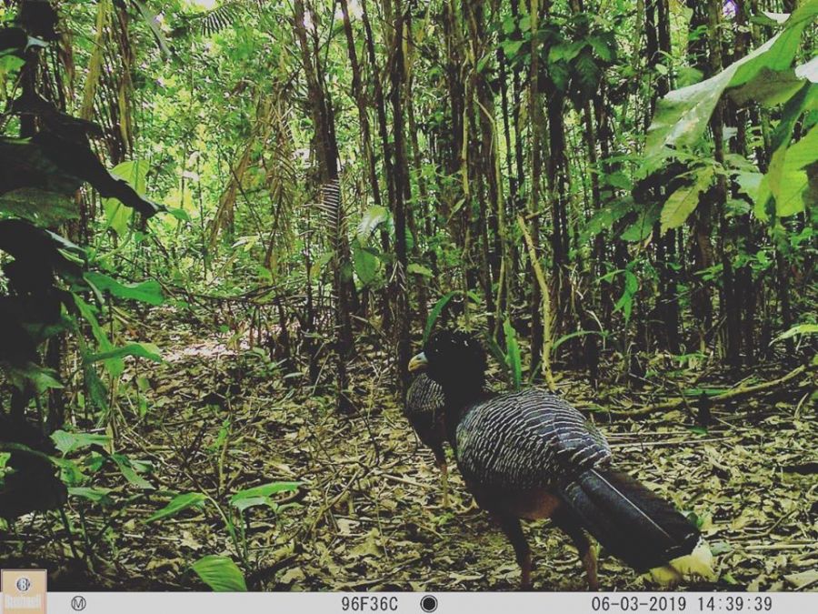 91988687_934493066967244_9196452320009781248_o - Fundación Hidrobiológica George Dahl