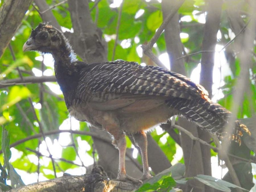 91696671_934767173606500_2380528607840698368_o - Fundación Hidrobiológica George Dahl