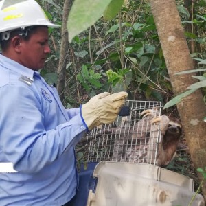 83381152_2752022334876230_1944983542085713920_o - Fundación Hidrobiológica George Dahl