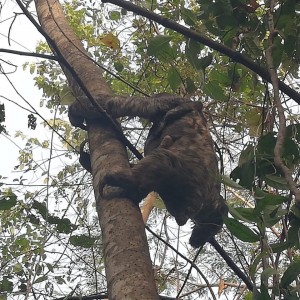 84481744_2752022531542877_6274239851227250688_o - Fundación Hidrobiológica George Dahl