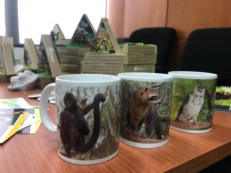 35050760_489266878156534_1473187376099491840_n - Fundación Hidrobiológica George Dahl