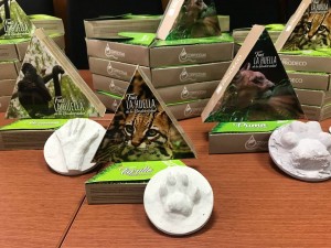 35266890_489266921489863_3577214510638825472_n - Fundación Hidrobiológica George Dahl