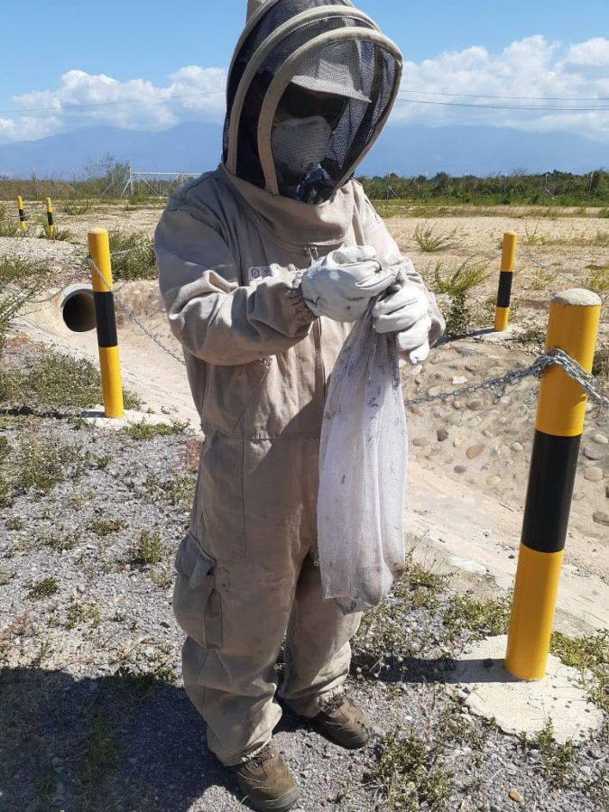 185782583_1227433994339815_2371977015912756901_n - Fundación Hidrobiológica George Dahl