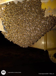 186281267_1227434004339814_7120768910546125527_n - Fundación Hidrobiológica George Dahl