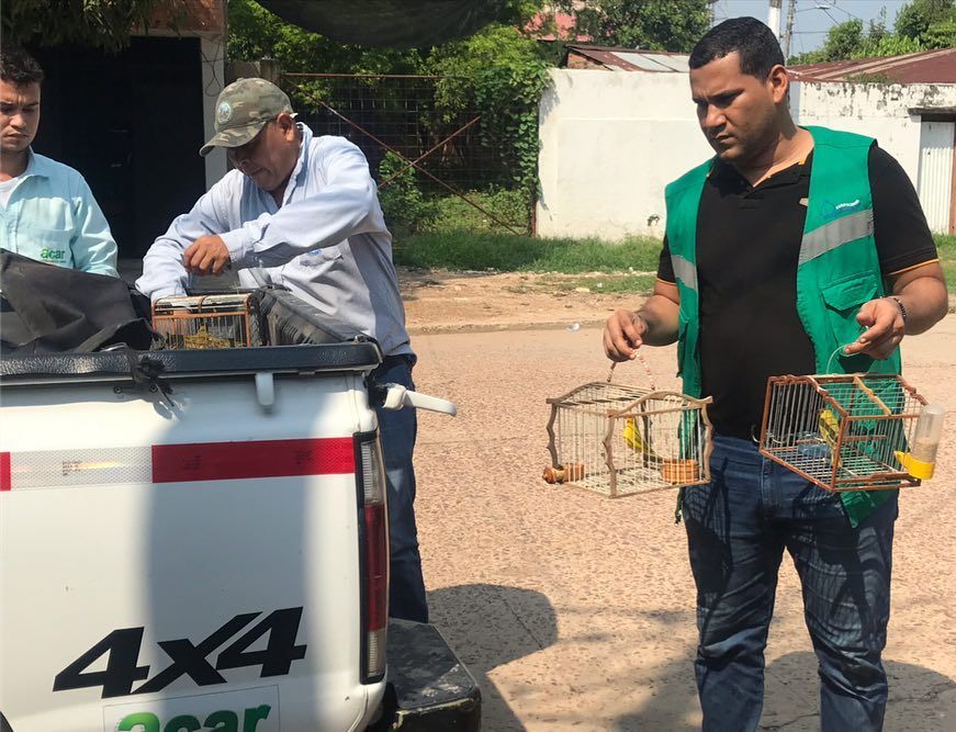 56618807_682185518864668_6598612239735848960_n - Fundación Hidrobiológica George Dahl