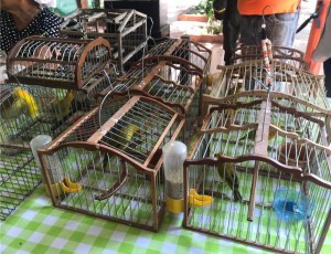 57166062_682185315531355_6528579190202040320_n - Fundación Hidrobiológica George Dahl