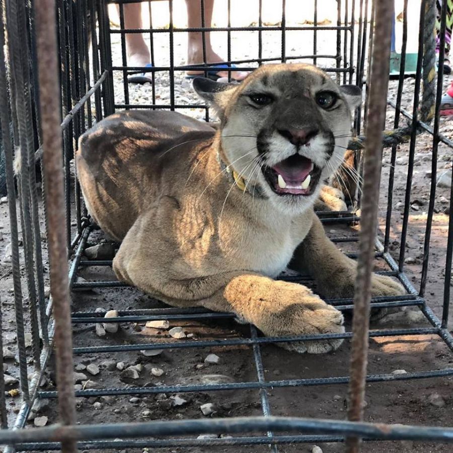 52816978_657929001290320_1191319478600728576_n - Fundación Hidrobiológica George Dahl