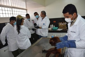 VISITA DE ESTUDIANTES DE VETERINARIA AL CAVFFS - Fundación Hidrobiológica George Dahl