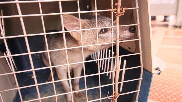 118701505_1047885332294683_6708640256857624994_n - Fundación Hidrobiológica George Dahl